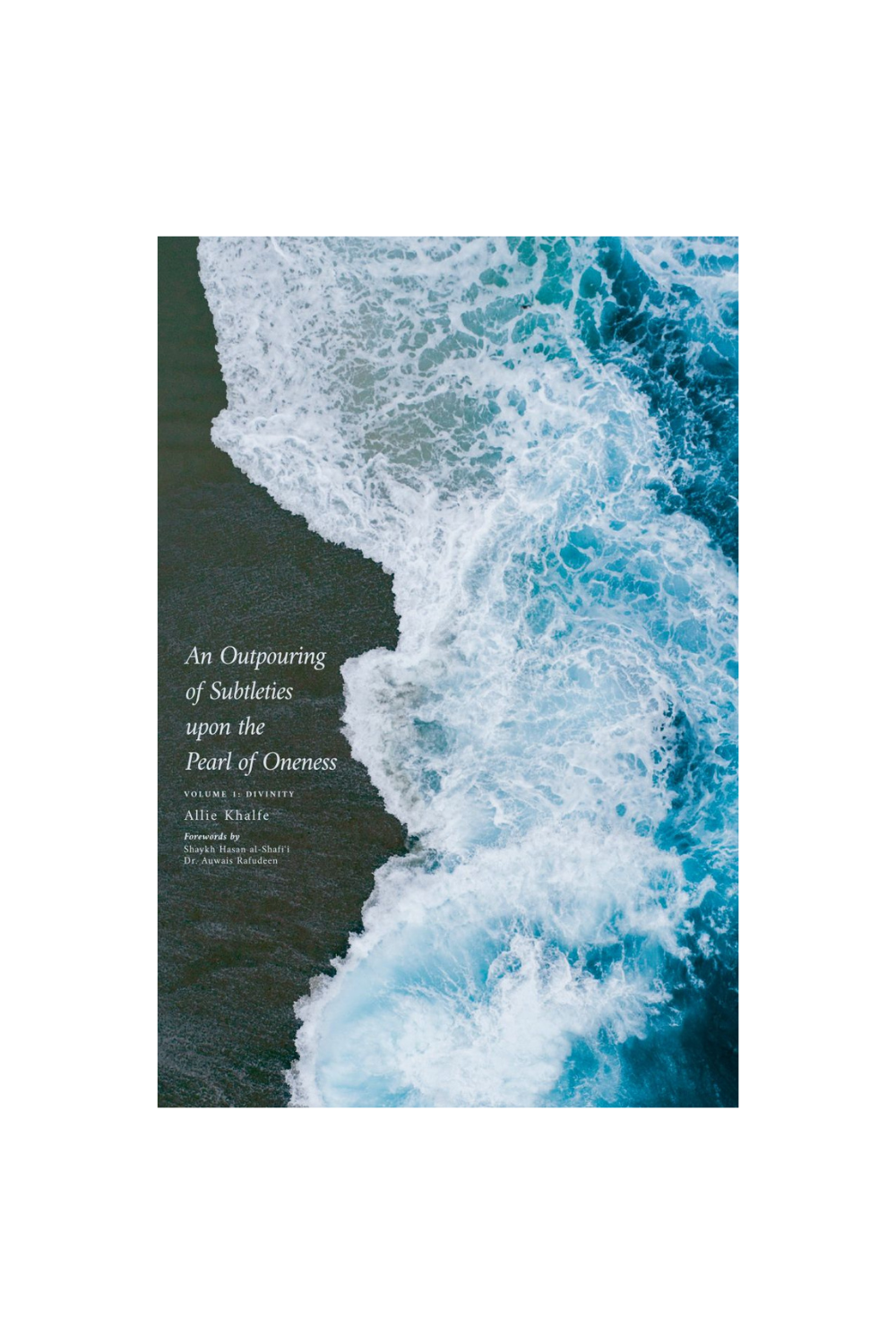 An Outpouring of Subtleties Vol.1