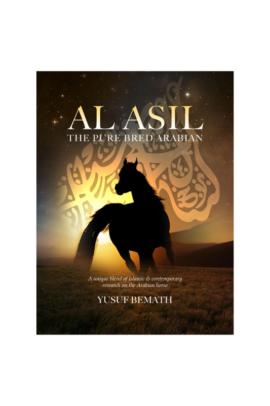 Al-Asil: The Pure Bred Arabian
