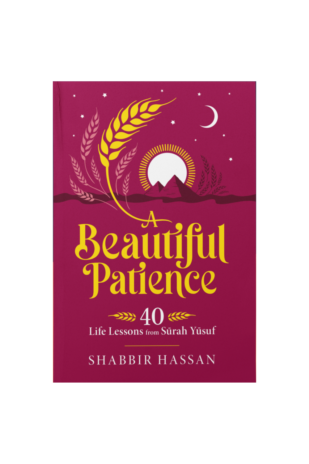 A Beautiful Patience: 40 Life Lessons from Surah Yusuf